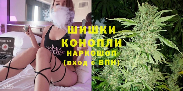 ГАЛЛЮЦИНОГЕННЫЕ ГРИБЫ Балахна