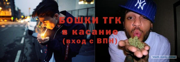 индика Армянск