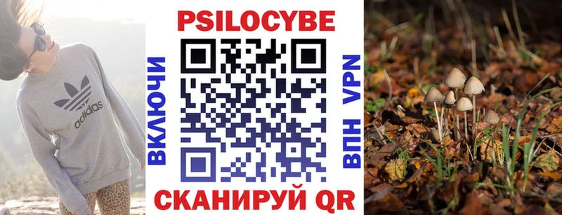 kraken tor  наркошоп  Калязин  Псилоцибиновые грибы Magic Shrooms 